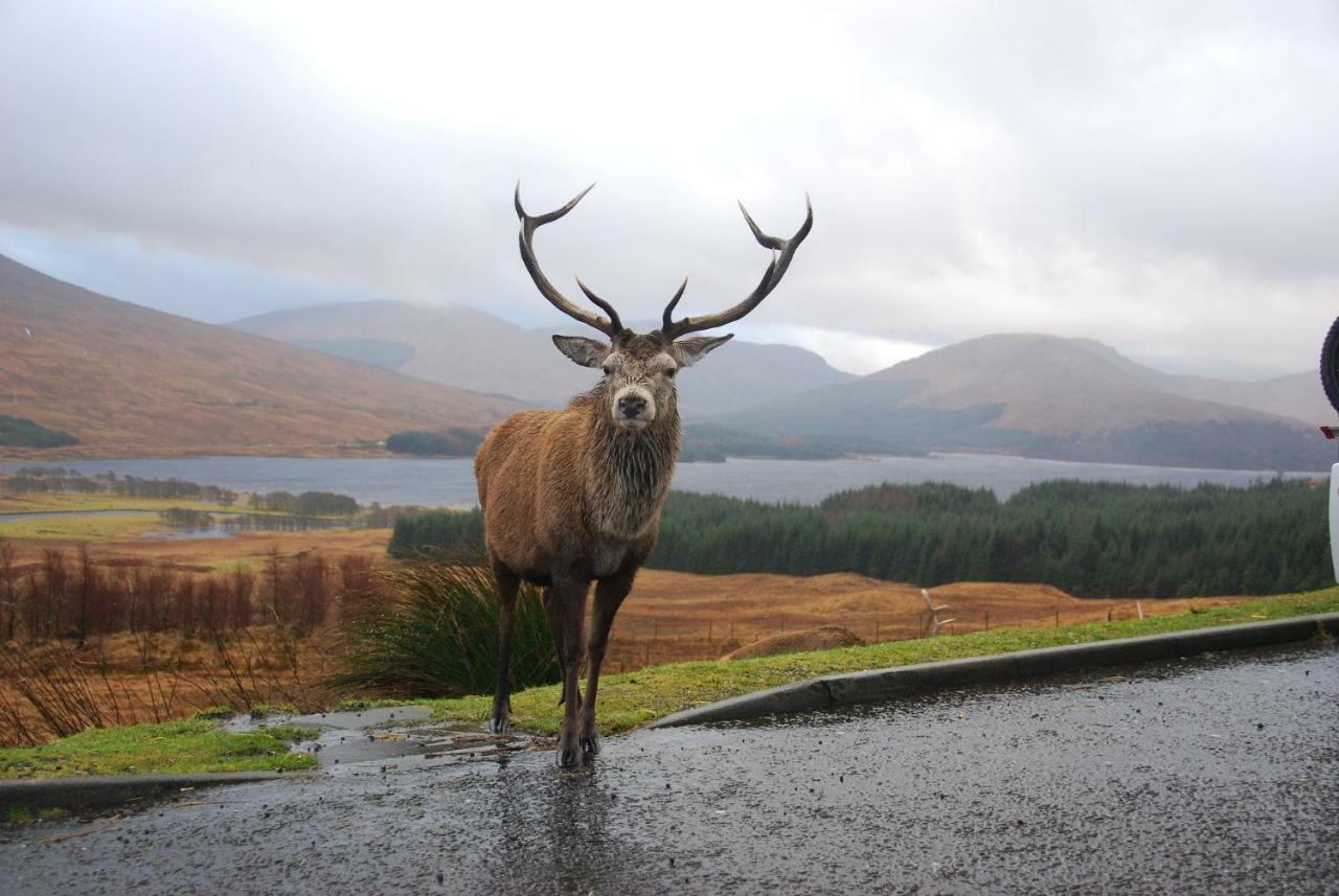 Clifton Cottage Tyndrum Esterno foto